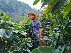 Guatemala San Miguel Dueñas