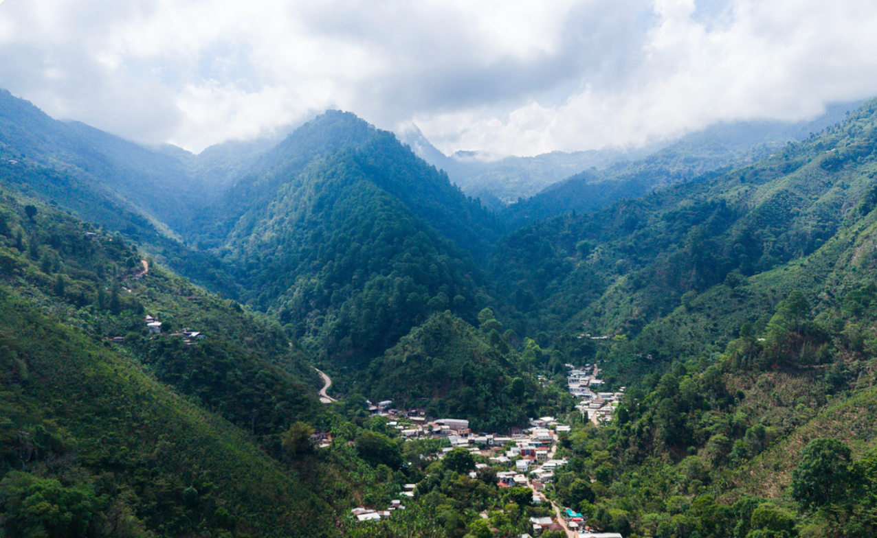 Guatemala Vista Al Bosque