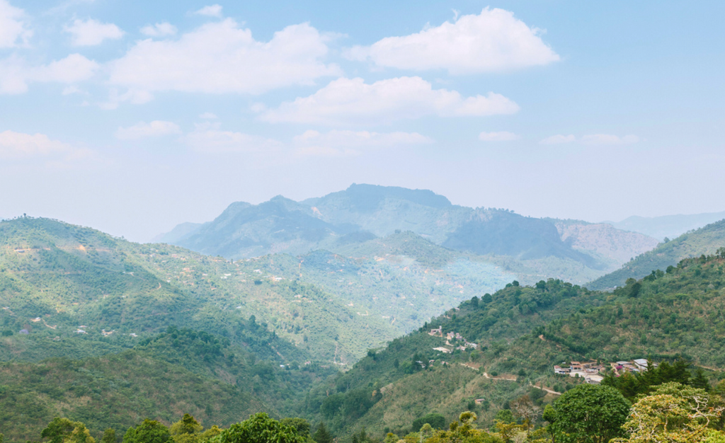 Guatemala El Apiario
